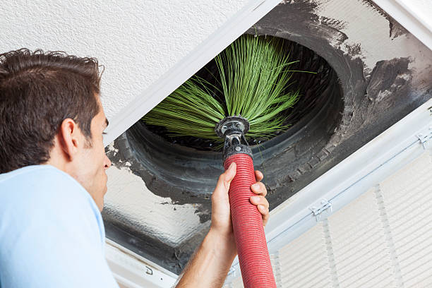 Best Ductwork Cleaning Services  in Bradenton, FL